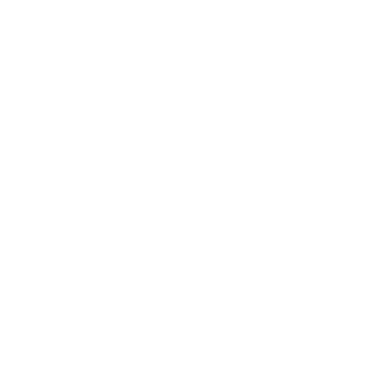 compass needle